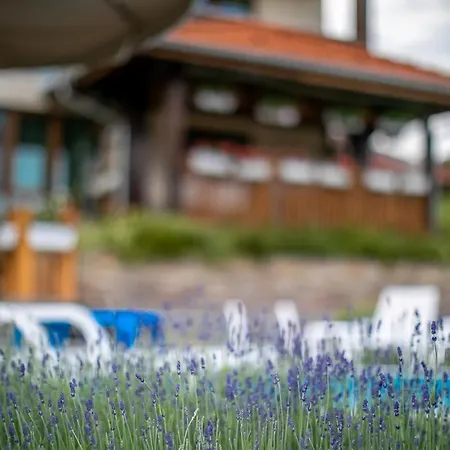 Gardenia Holiday home *